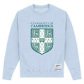 Sky Blue - Front - Cambridge University Unisex Adult Shield Sweatshirt