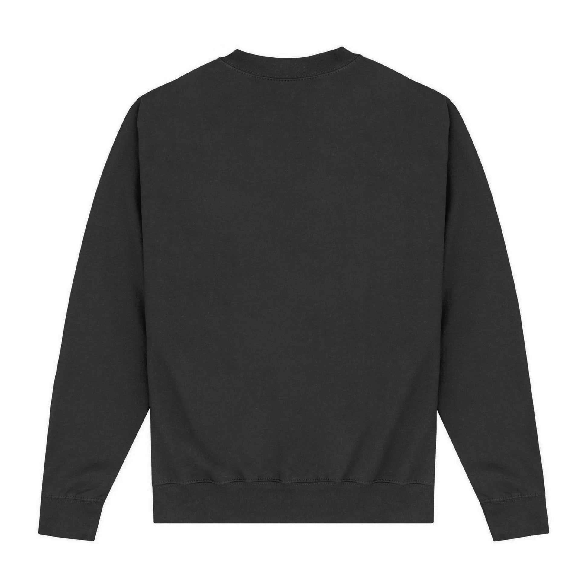 Black - Back - University Of Cambridge Unisex Adult Est 1209 Sweatshirt