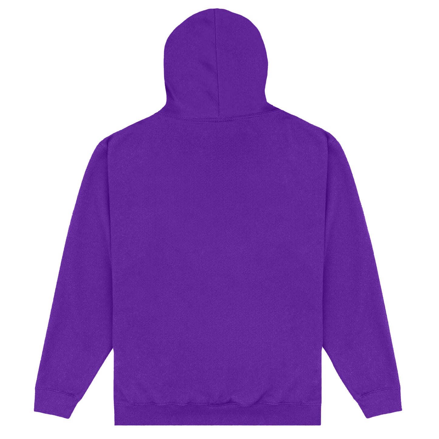 Purple - Back - Terraria Unisex Adult Since 2011 Hoodie