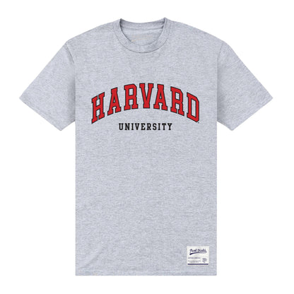 Heather Grey - Front - Harvard University Unisex Adult Script T-Shirt