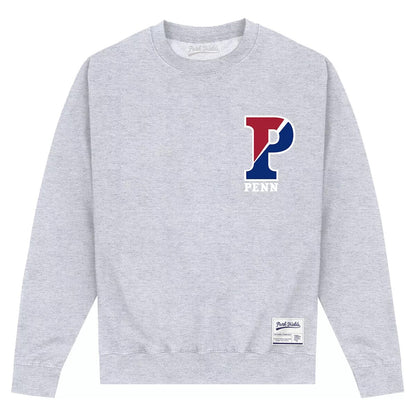 Heather Grey - Front - University Of Pennsylvania Unisex Adult P Sweatshirt