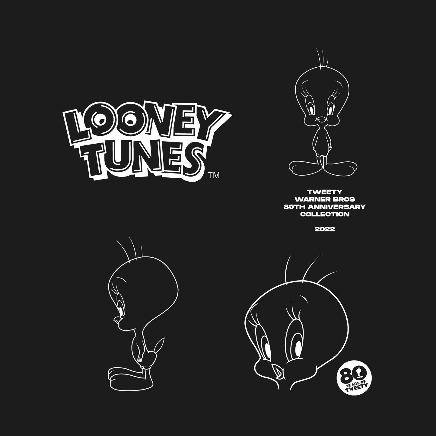 Black - Side - Tweety Unisex Adult Outline 80th T-Shirt