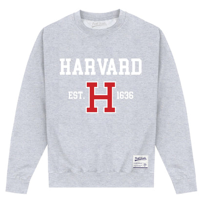 Heather Grey - Front - Harvard University Unisex Adult Est 1636 Sweatshirt