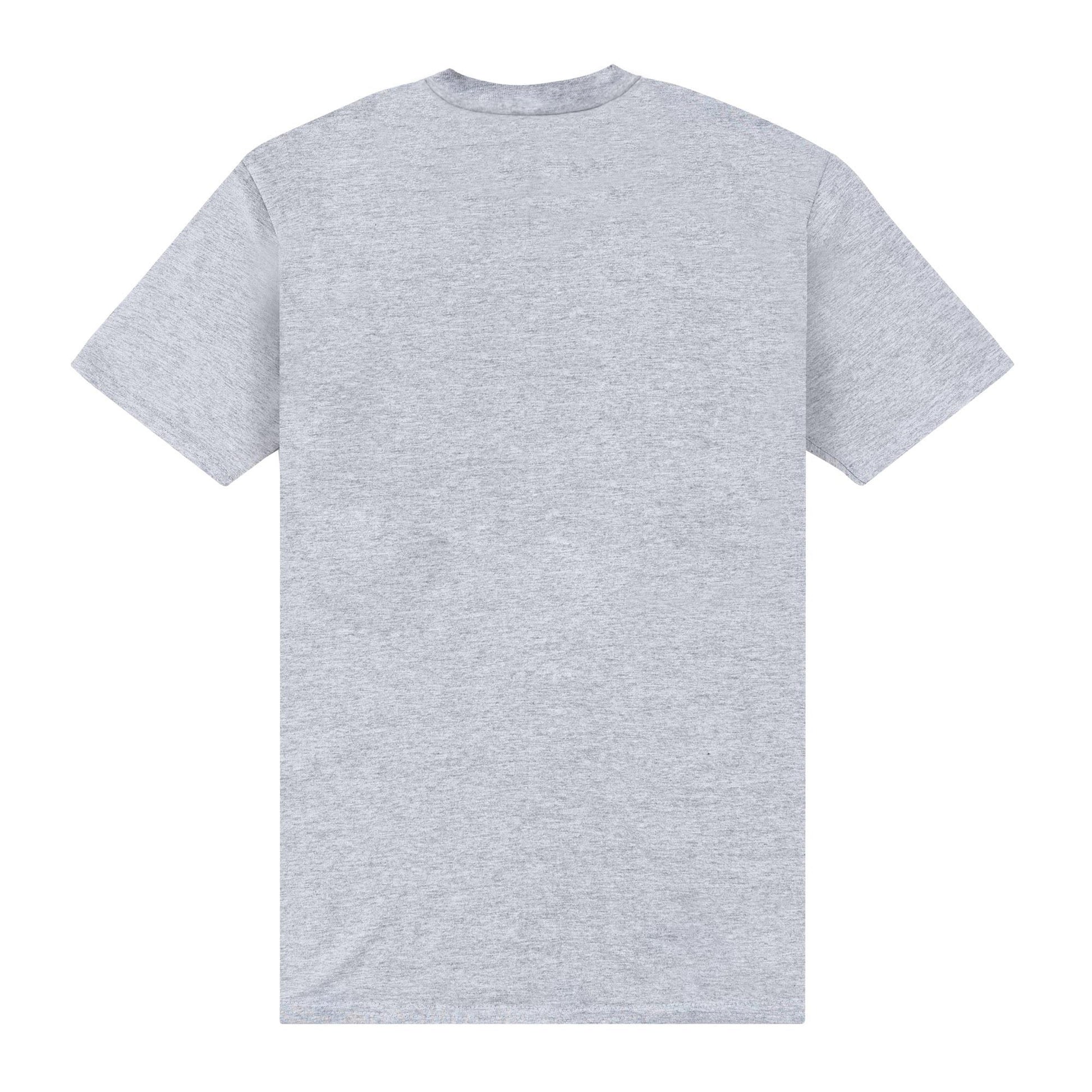 Heather Grey - Back - University Of Florida Unisex Adult Gators T-Shirt