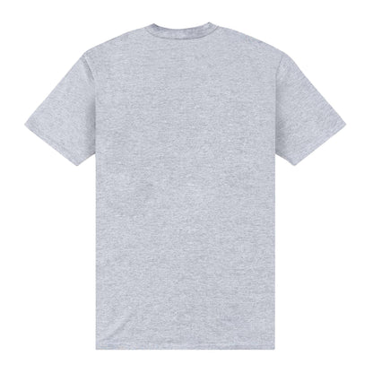 Heather Grey - Back - University Of Florida Unisex Adult Gators T-Shirt