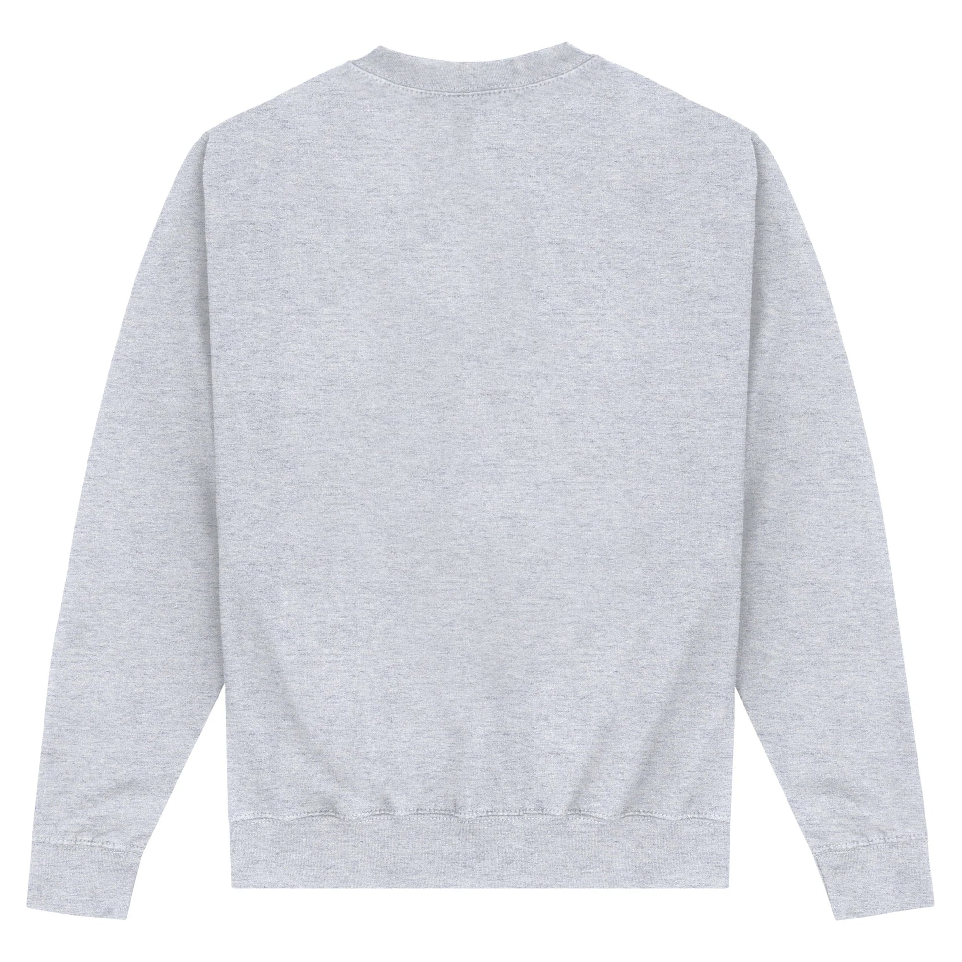 Heather Grey - Back - University Of Florida Unisex Adult Gators Sweatshirt