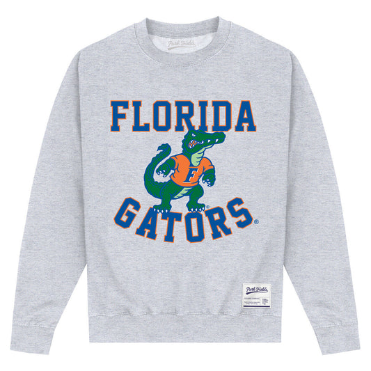 Heather Grey - Front - University Of Florida Unisex Adult Gators Sweatshirt