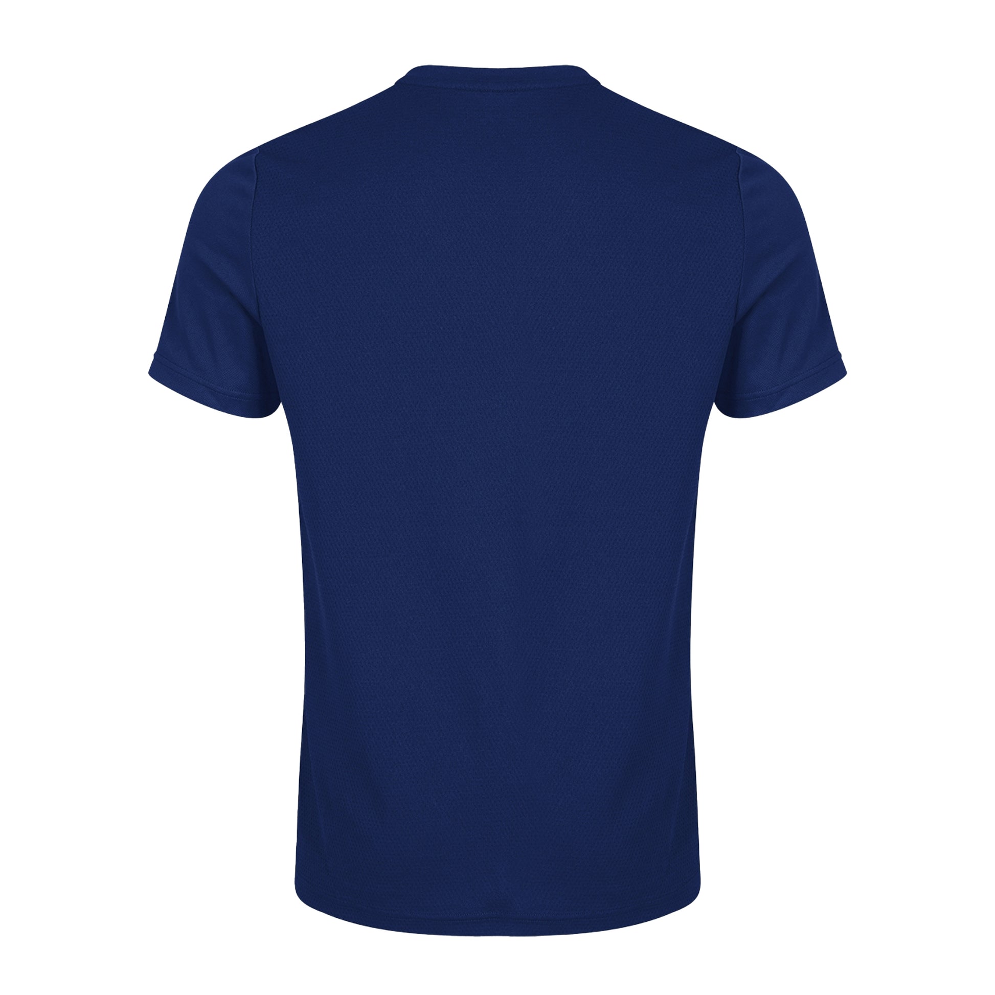 Royal Blue - Back - Canterbury Mens Club Dry T-Shirt