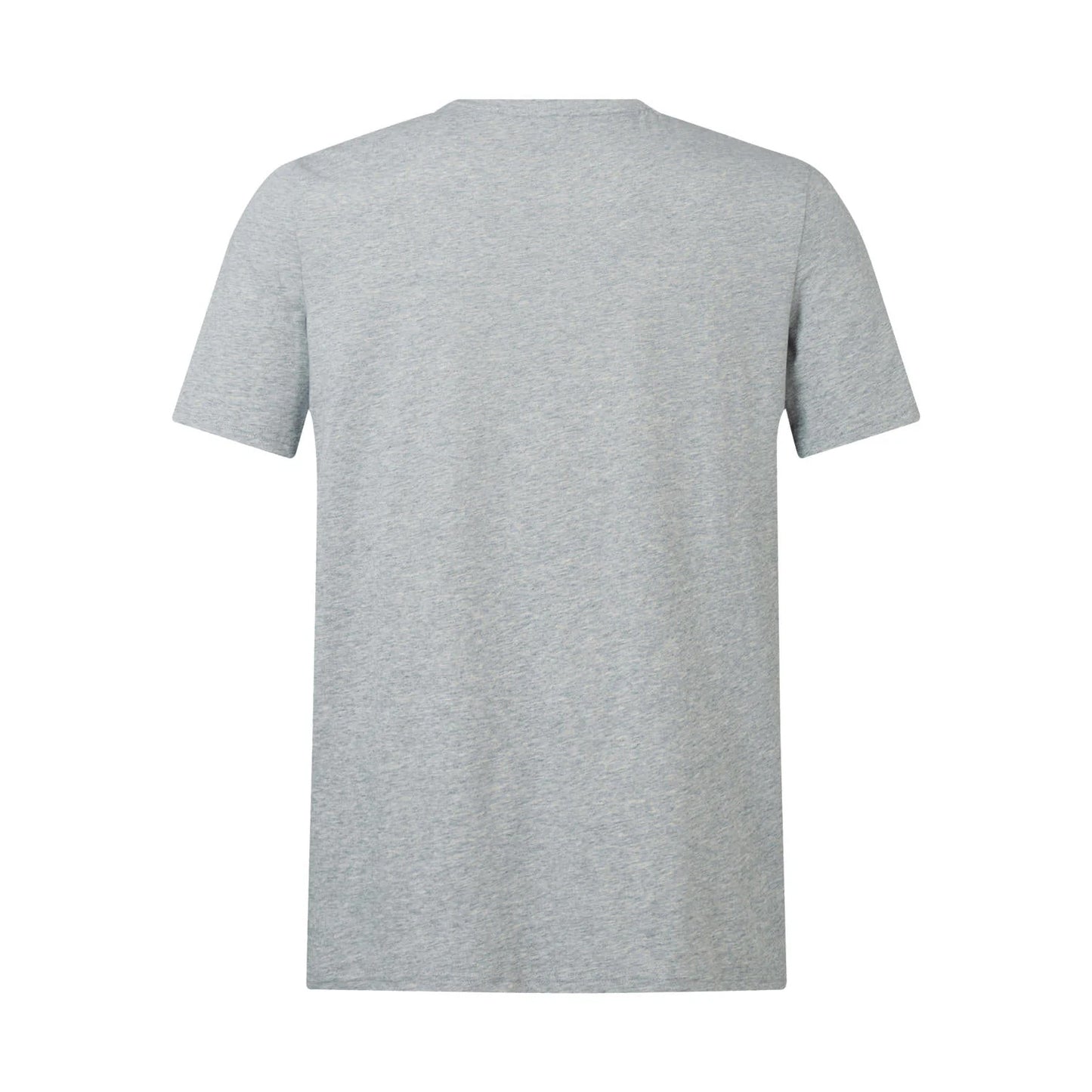 Grey - Back - Canterbury Unisex Adult Monument British & Irish Lions T-Shirt