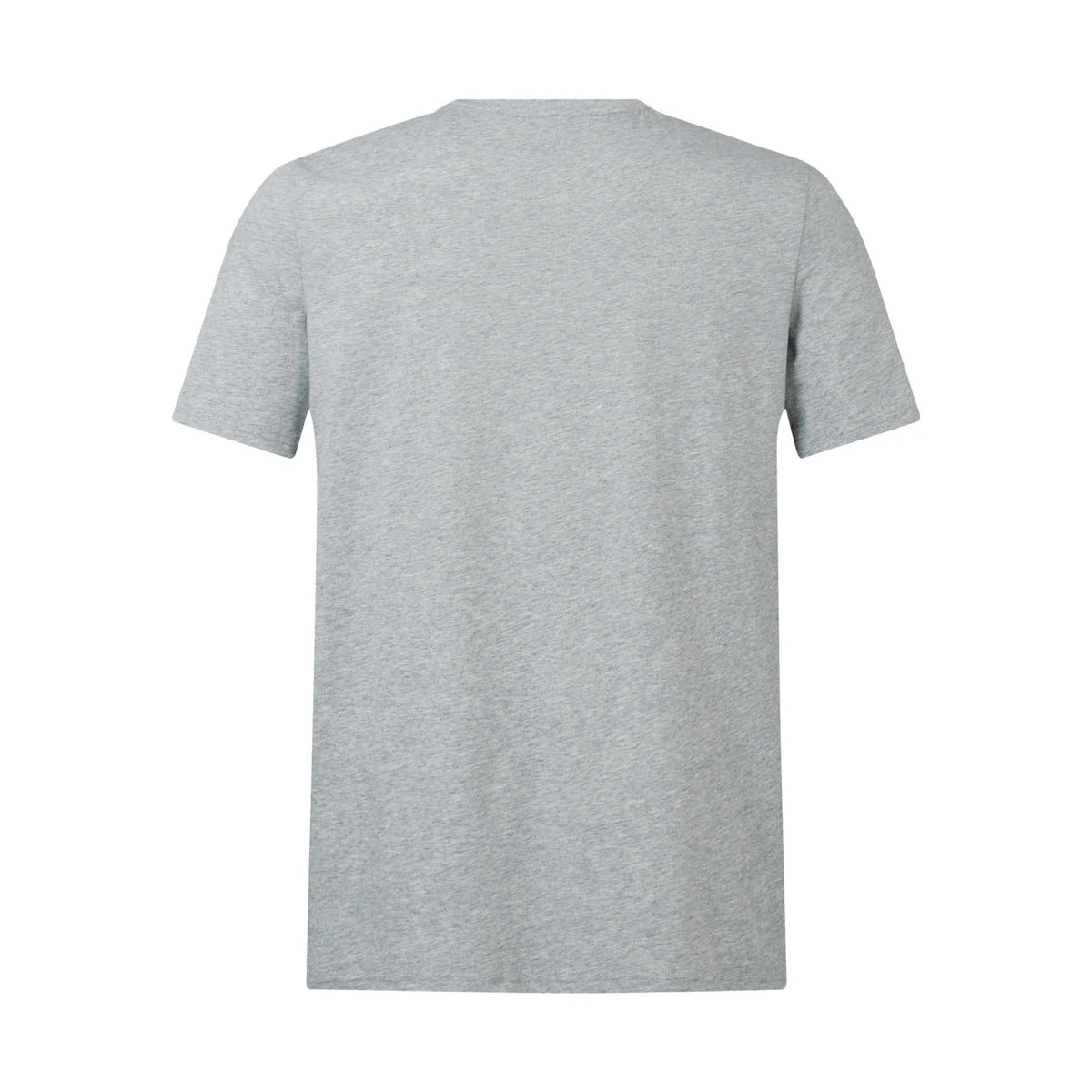 Grey - Back - Canterbury Unisex Adult Monument British & Irish Lions T-Shirt
