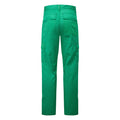 Teal - Back - Portwest Mens Combat Lightweight Work Trousers