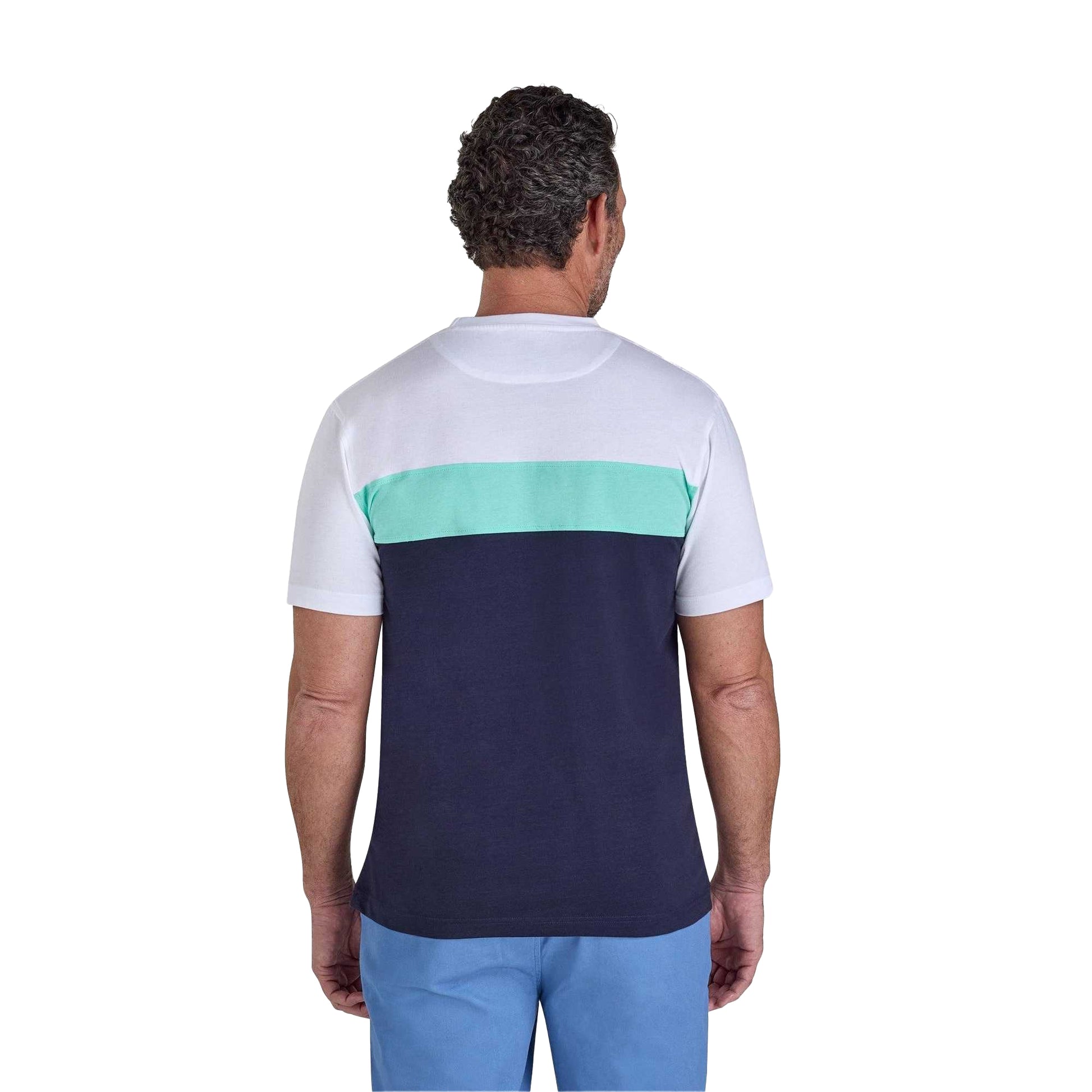 Navy - Back - Raging Bull Mens Cut and Sew Panel T-Shirt