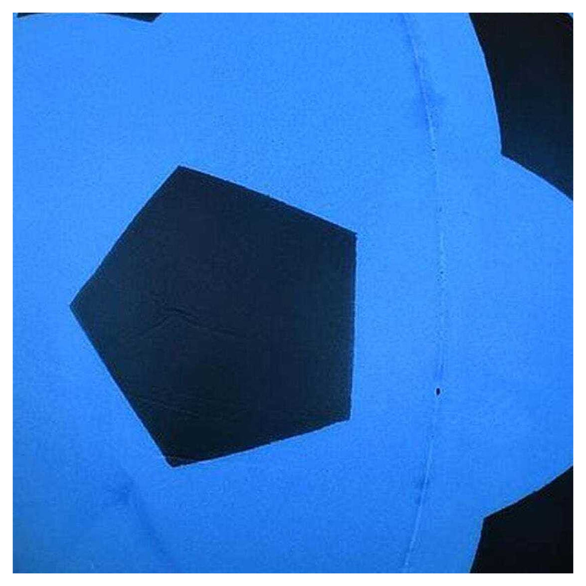 Blue-Black - Back - Pre-Sport Foam Football