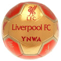 Red - Front - Liverpool FC Signature 26 Panel Football