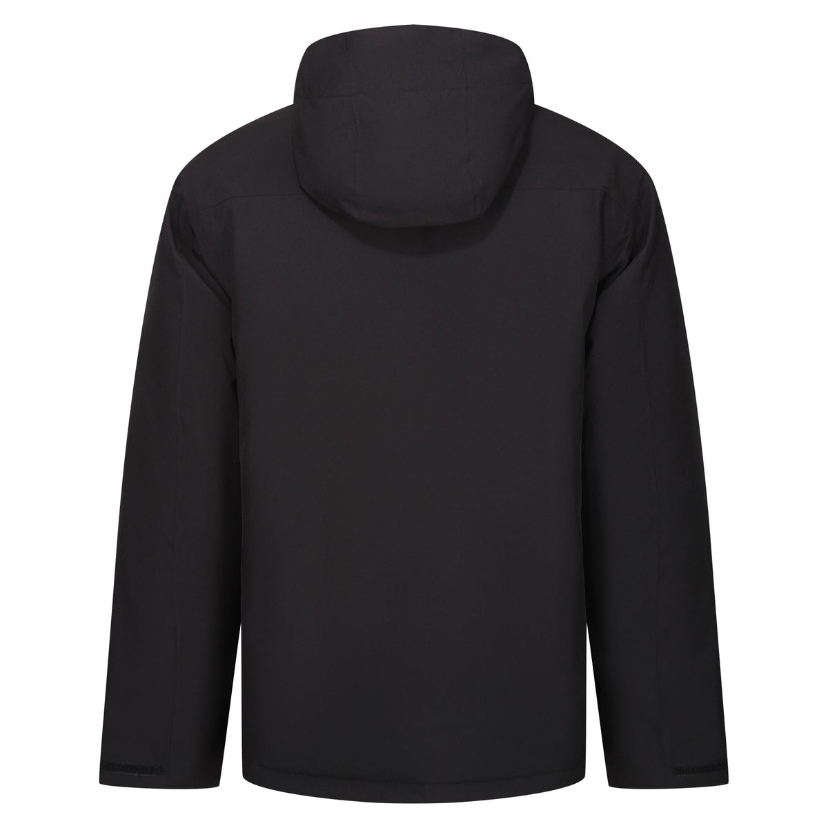 Black-New Royal - Back - Regatta Professional Mens Insulated Waterproof Jacket