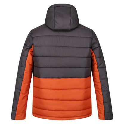 Burnt Copper-Ash - Back - Regatta Mens Nevado VI Puffer Jacket