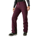 Fig - Lifestyle - Regatta Womens-Ladies Ice Ski Trousers