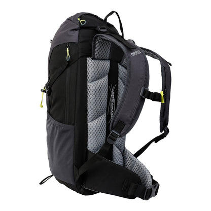 Black-Seal Grey - Back - Regatta Highton V2 45L Backpack