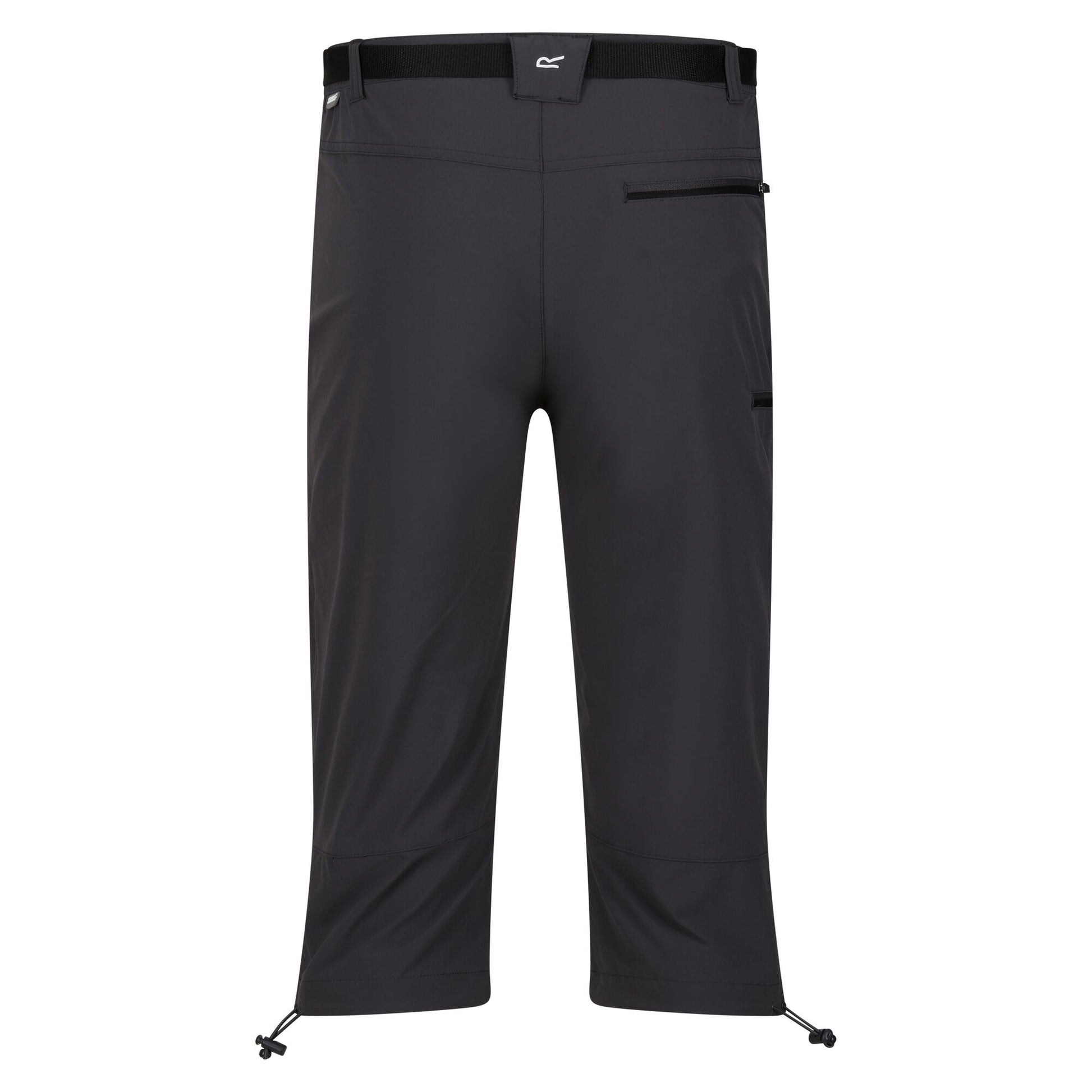 Seal Grey - Back - Regatta Mens Xert Stretch III Stretch Active Capri Shorts