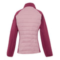 Lilas-Beaujolais-Pop - Back - Regatta Womens-Ladies Clumber V Hybrid Jacket