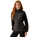 Black-Warm Taupe - Lifestyle - Regatta Womens-Ladies Clumber V Hybrid Jacket