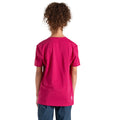 Berry Pink - Pack Shot - Dare 2B Childrens-Kids Trailblazer II Happy T-Shirt