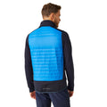 Strong Blue-Navy - Lifestyle - Regatta Unisex Adult E-Volve Thermal Hybrid Body Warmer