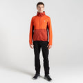 Cinnamon-Syrah Red - Lifestyle - Dare 2B Mens Assimlilate II Core Stretch Midlayer