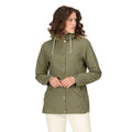 Four Leaf Clover - Pack Shot - Regatta Womens-Ladies Bayla Waterproof Raincoat