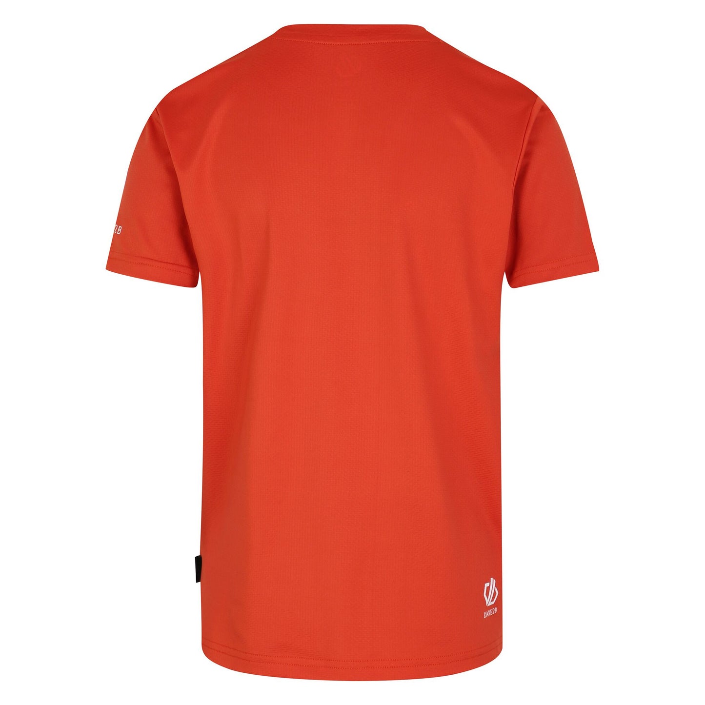Cinnamon - Back - Dare 2B Childrens-Kids Amuse II Skateboard T-Shirt