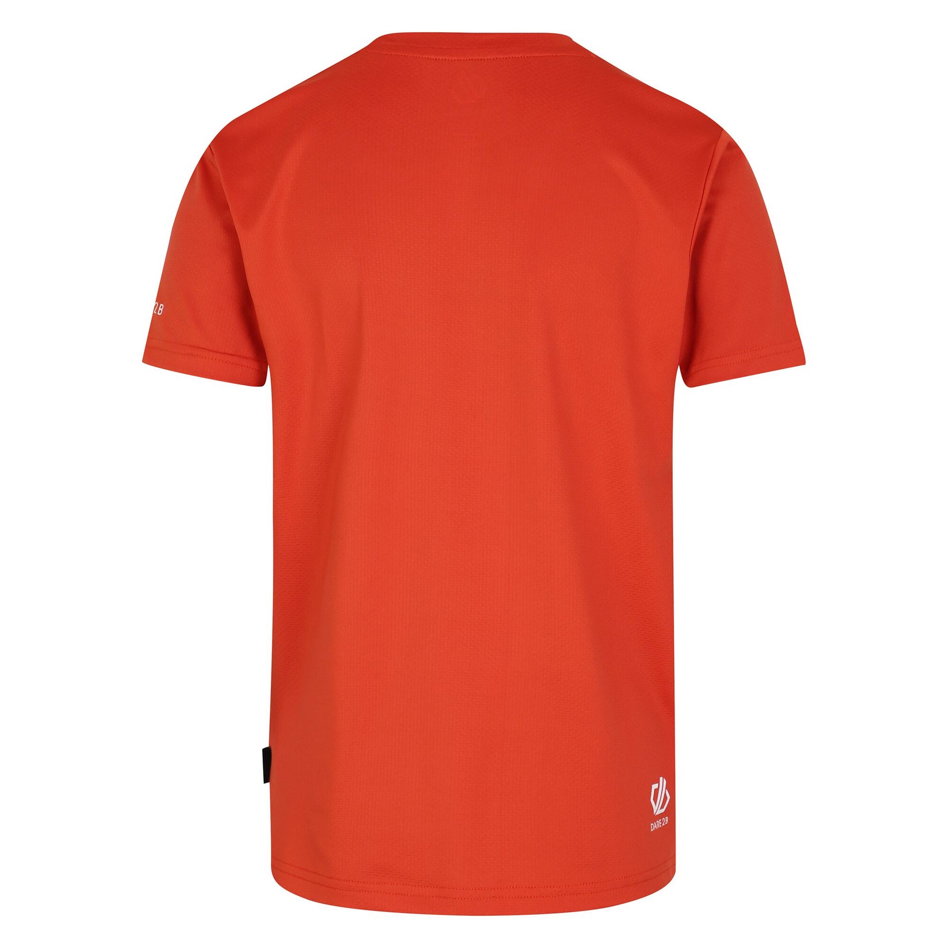Cinnamon - Back - Dare 2B Childrens-Kids Amuse II Skateboard T-Shirt
