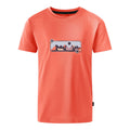Peach Bloom - Front - Dare 2B Childrens-Kids Amuse II Monkey T-Shirt