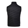 Black-Green Algae - Back - Dare 2B Mens Gendarme Wool Padded Gilet