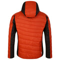 Rooibos Tea-Puffins Orange - Back - Dare 2B Mens Touring Padded Jacket