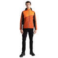 Rooibos Tea-Puffins Orange - Lifestyle - Dare 2B Mens Touring Padded Jacket
