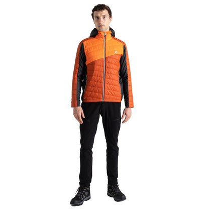 Rooibos Tea-Puffins Orange - Lifestyle - Dare 2B Mens Touring Padded Jacket