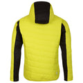 Neon Spring-Dark Storm - Back - Dare 2B Mens Touring Padded Jacket