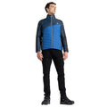 Olympian Blue-Moonlight Denim - Lifestyle - Dare 2B Mens Descending Padded Jacket