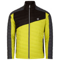 Neon Spring-Black - Front - Dare 2B Mens Descending Padded Jacket