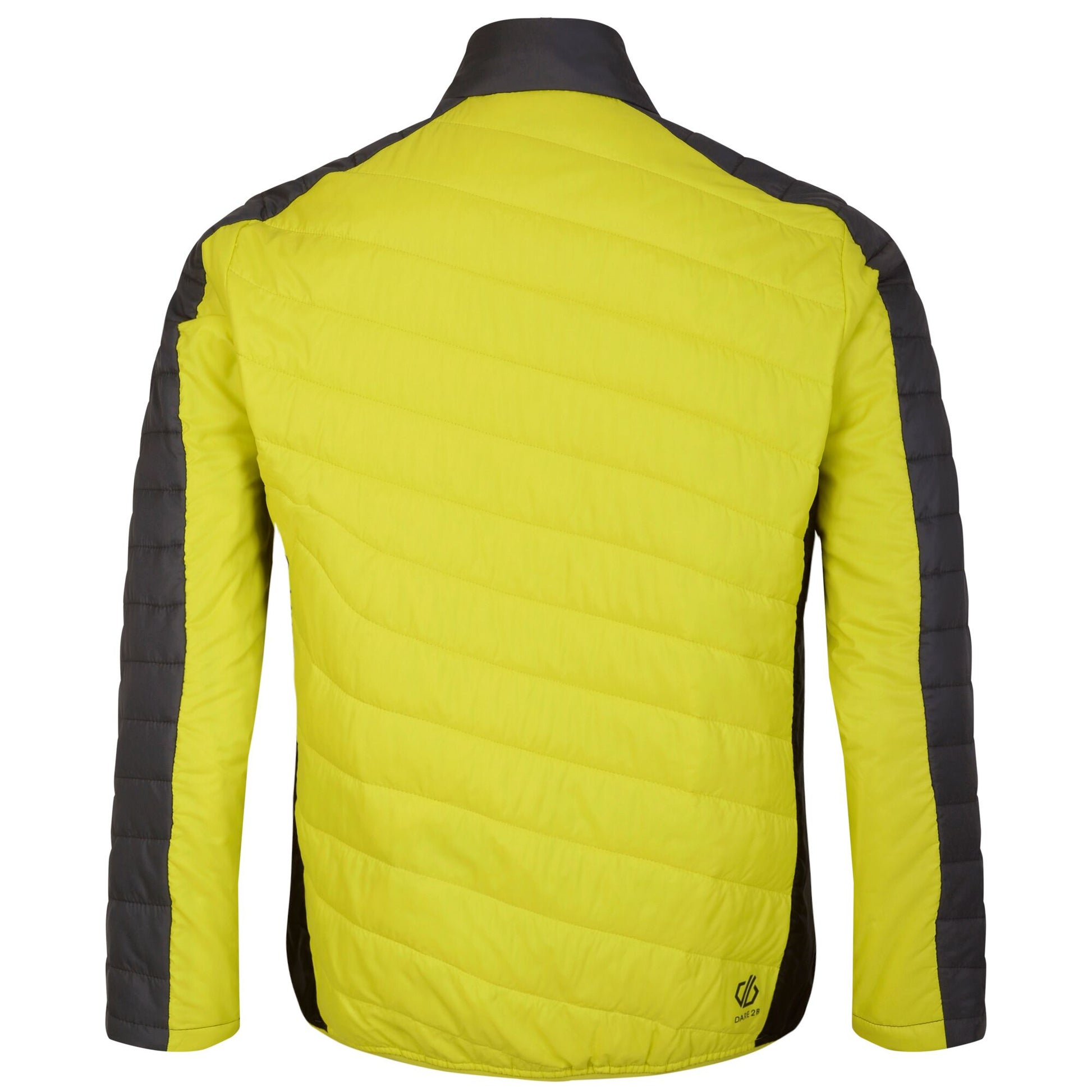 Neon Spring-Black - Back - Dare 2B Mens Descending Padded Jacket
