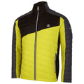 Neon Spring-Black - Side - Dare 2B Mens Descending Padded Jacket