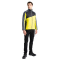 Neon Spring-Black - Lifestyle - Dare 2B Mens Descending Padded Jacket