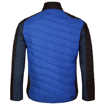 Olympian Blue-Moonlight Denim - Back - Dare 2B Mens Descending Padded Jacket