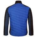 Olympian Blue-Moonlight Denim - Back - Dare 2B Mens Descending Padded Jacket