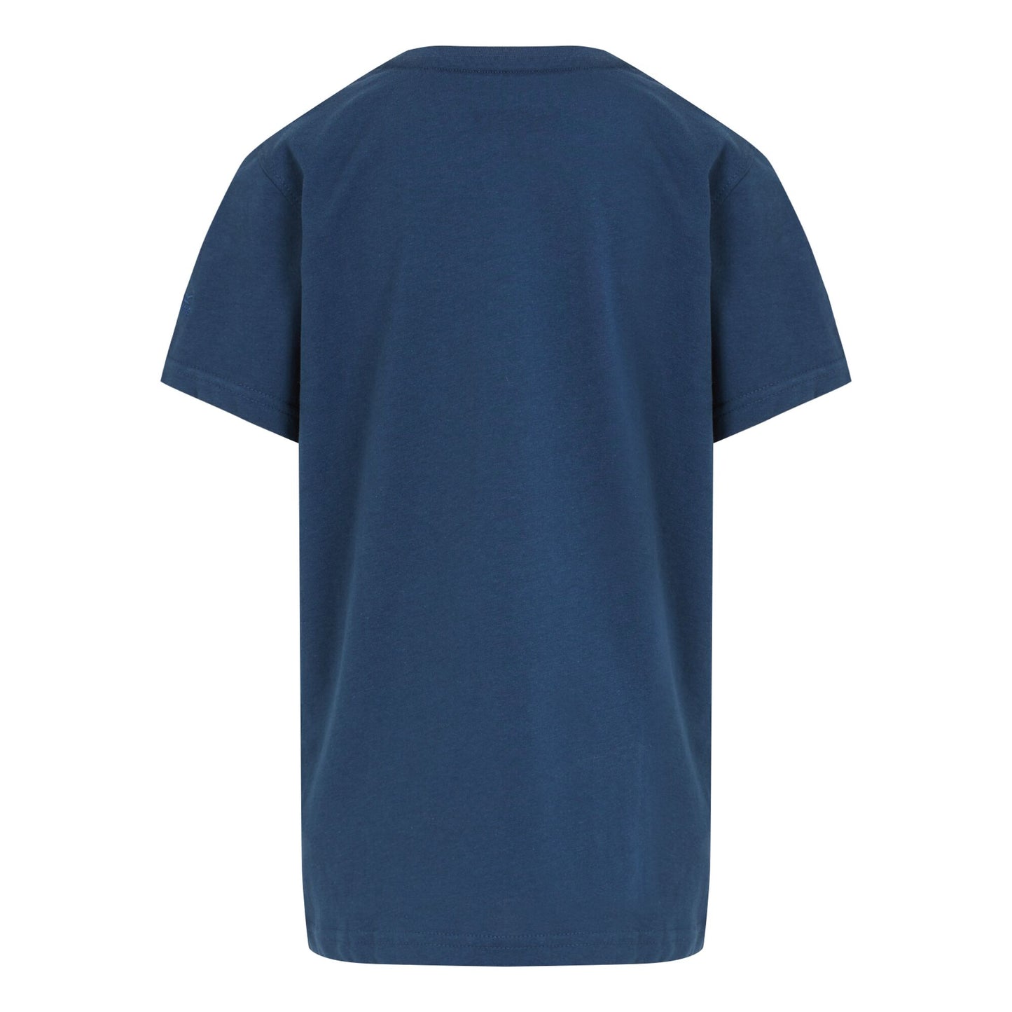 Moonlight Denim - Back - Regatta Childrens-Kids Bosley VII Seaside T-Shirt