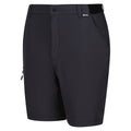 Ash - Side - Regatta Mens Travel Light Packaway Shorts