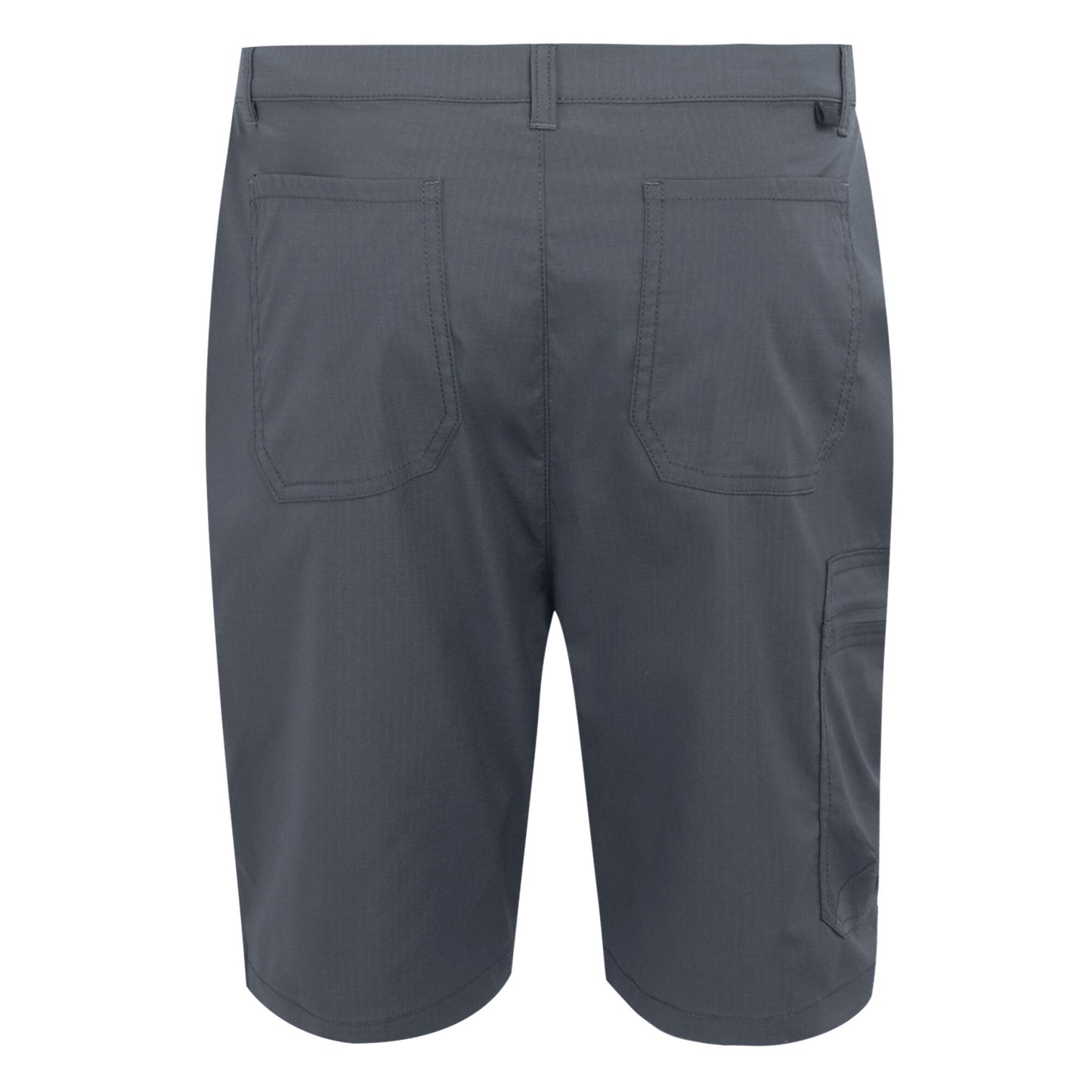 Seal Grey - Back - Regatta Mens Dalry Multi Pocket Shorts