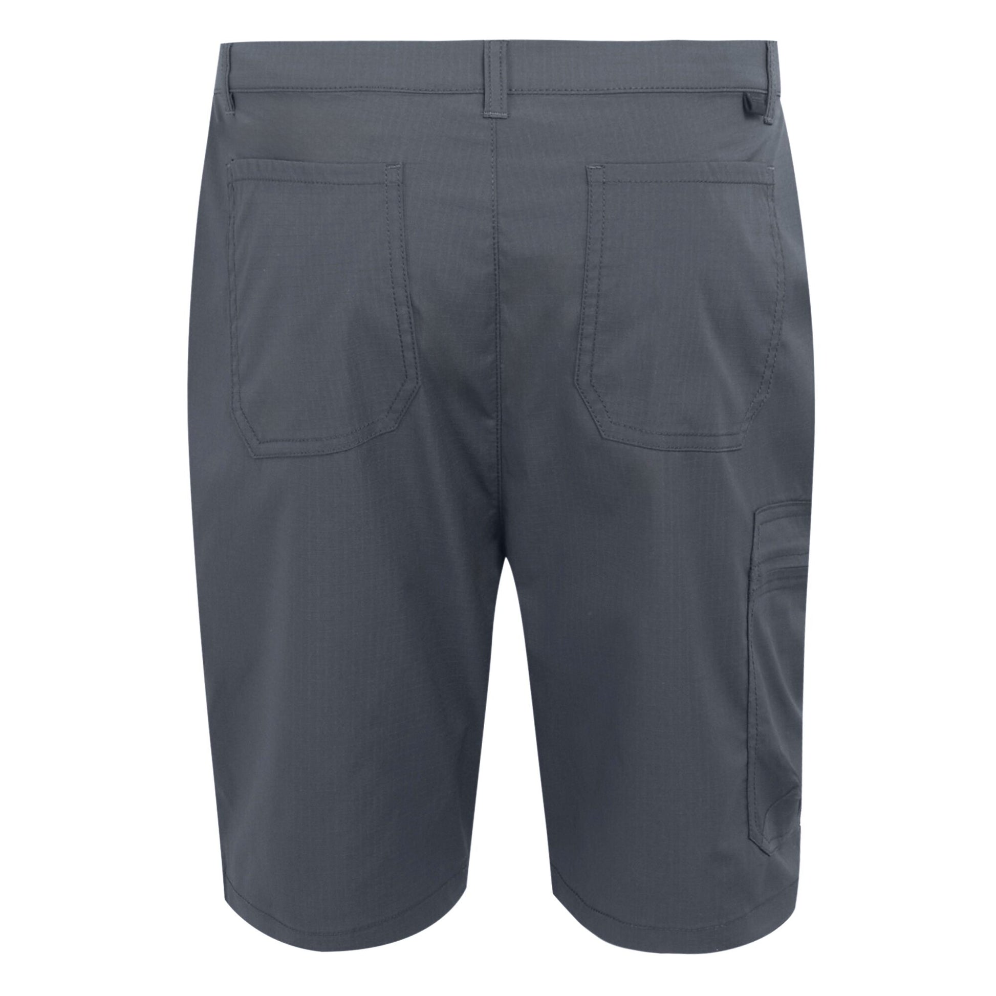 Seal Grey - Back - Regatta Mens Dalry Multi Pocket Shorts