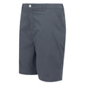 Seal Grey - Side - Regatta Mens Dalry Multi Pocket Shorts