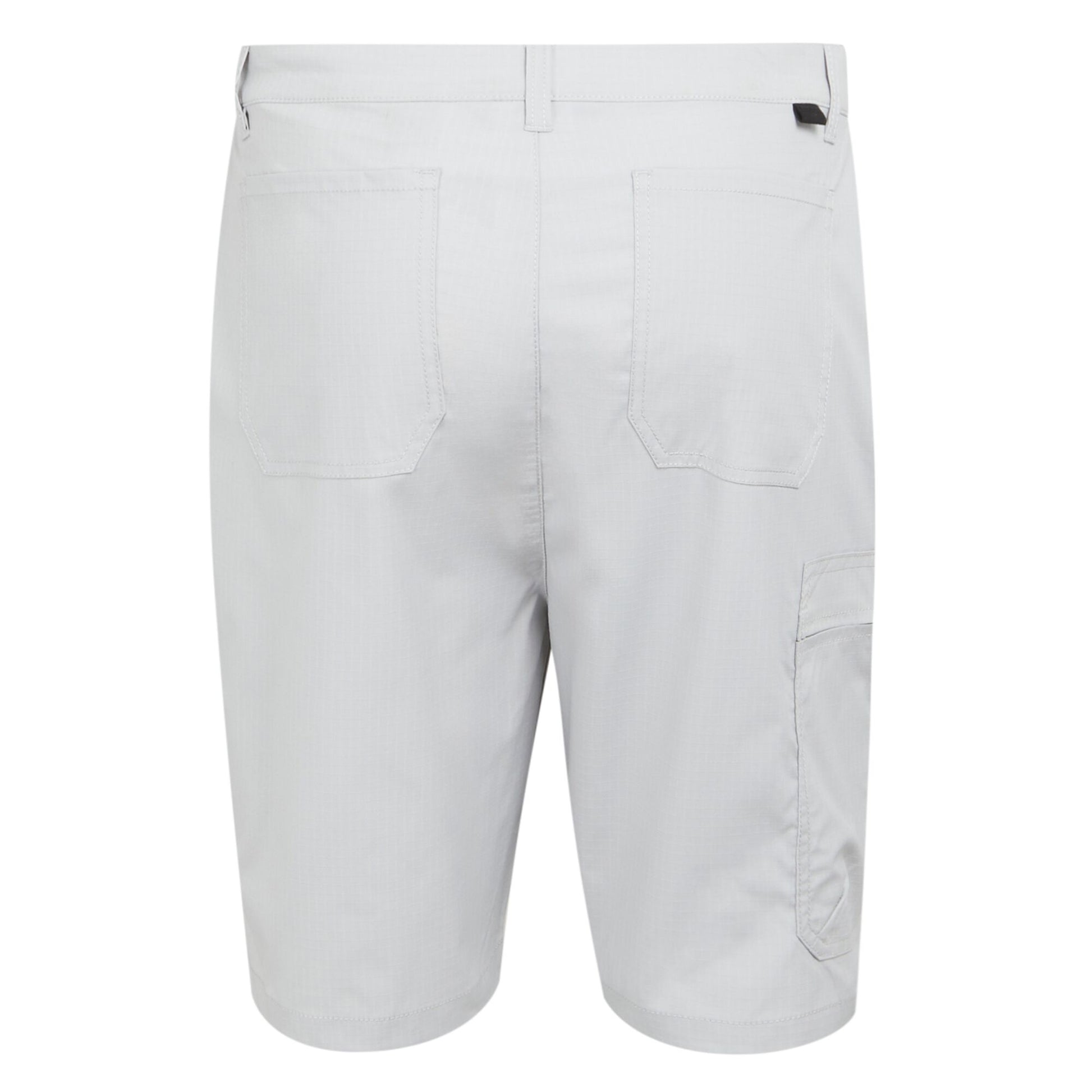Silver Grey - Back - Regatta Mens Dalry Multi Pocket Shorts